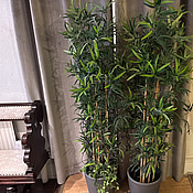 2 st. Plastväxter inkl. krukor