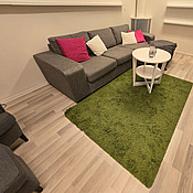 Divansoffa med soffbord och matta