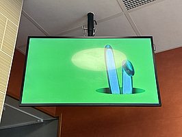 Monitor Samsung med takfäste