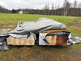 Parti konstruktionsvirke C24 | 48x223 mm | 409 löpmeter