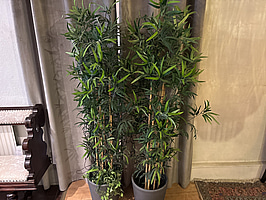 2 st. Plastväxter inkl. krukor