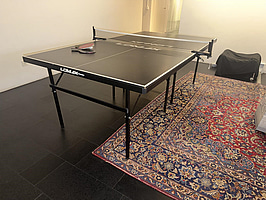Pingisbord Lomax