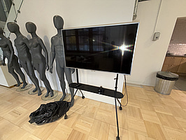 TV på Stativ, Philips 49 tum