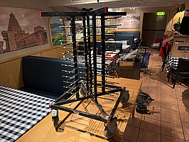 Tallriksspindel, halv