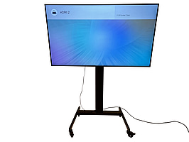 TV-skärm Samsung, QM65R-B, 65 tum 4K inkl. TV-ställ på hjul