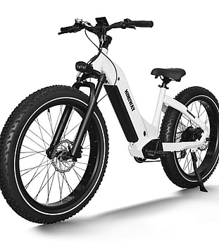 Elcykel Himiway, Zebra Step-Thru