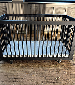 Spjöllsäng Edward - ihopfällbar