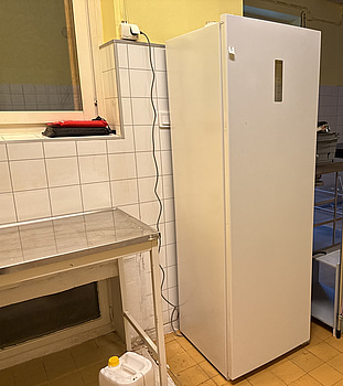 Kylskåp Logik LTR185W23E | 60x62x185 cm