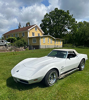 Chevrolet Corvette Big Block 454 Matching Numbers I bruksskick.
