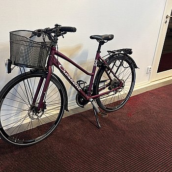 Cykel Crescent Sport Trekking, vinröd