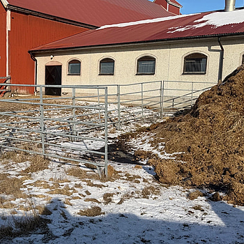 Fångstgrindar för kreatur, 8 st