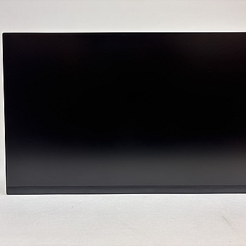 Datorskärm Dell P2422H, 23,8 tum.