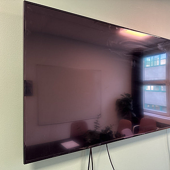 Skärm Samsung  DC55E, 55 tum