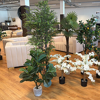 7 st konstväxter, 70-180 cm