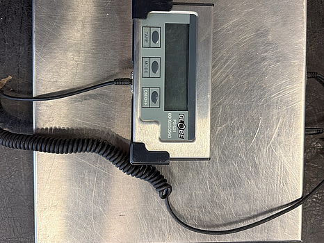 Vågplattform Globe/Jula, 60 kg