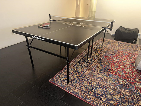 Pingisbord Lomax