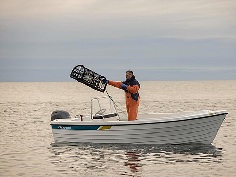 Cremo 550SC 2024 Fabriksny