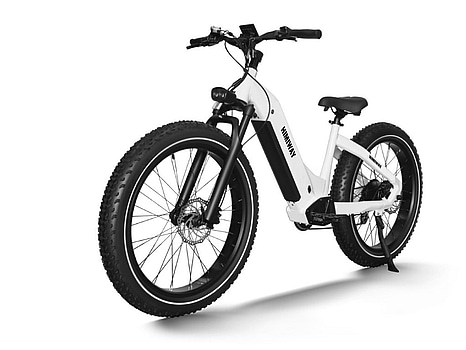 Elcykel Himiway, Zebra Step-Thru