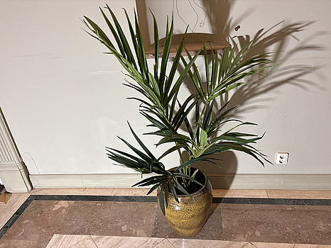 Krukväxt i plats, inkl. kruka