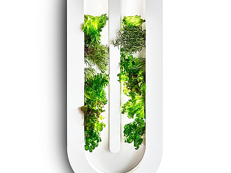 Hydroponic system Hollbium, The Loop