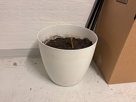 4 st. Stora vita  krukor med hjul