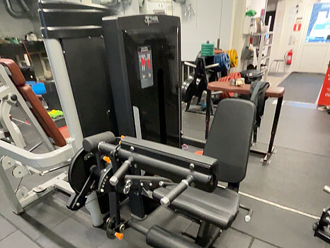 Thor benmaskin TF Standard WS, Leg Curl/Extension -2024 i fint skick