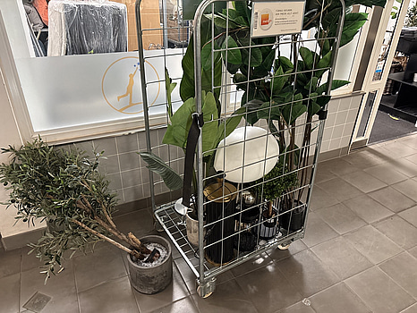 Parti med diverse konstväxter och lampor