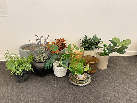 Parti med krukor, vaser och plastblommor