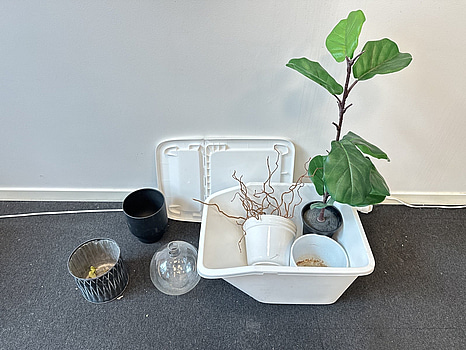 Parti med krukor och vaser