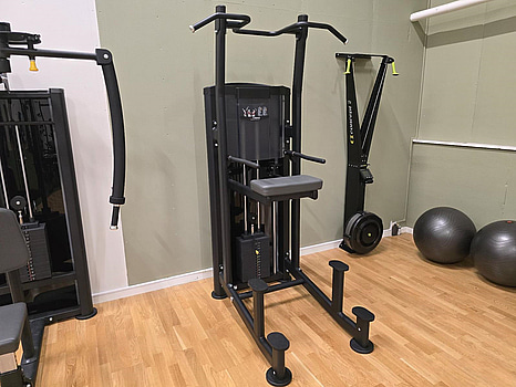 Pull-Ups/Chinsmaskin BH Fitness