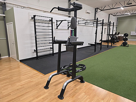 Chins- och dipsställning BH Fitness