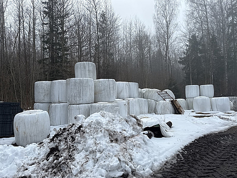 Hösilage 38 st balar