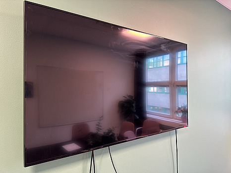 Skärm Samsung  DC55E, 55 tum