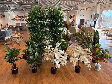 10 st konstväxter, 70-180 cm