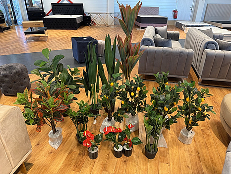 15 st konstväxter, 30-140 cm