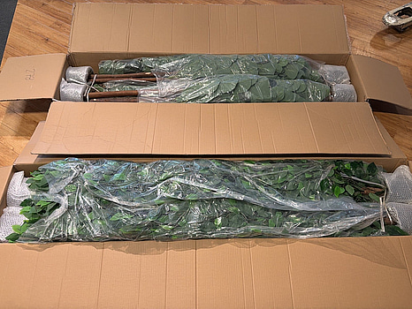 8 st konstväxter, ca 150-180 cm