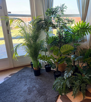 Parti plastväxter – ca 40 st i olika modeller