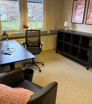 Kontorsplats, datorskärm m.m.