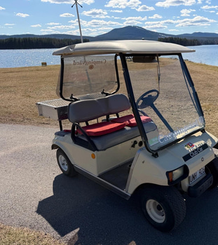 Golfbil Club Car DS Electric -2004