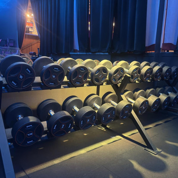 Hantlar på ställning från 10kg till 32,5 kg komplett set