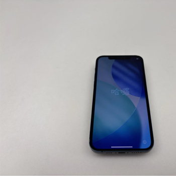 Mobil Apple iPhone 12 64GB