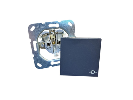 10 ST. ELUTTAG JORDAT MED TÄCKLOCK GIRA, SYSTEM 55 PETSKYDD, ANTRACIT