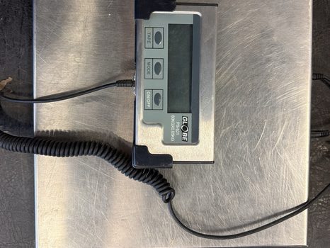 Vågplattform Globe/Jula, 60 kg