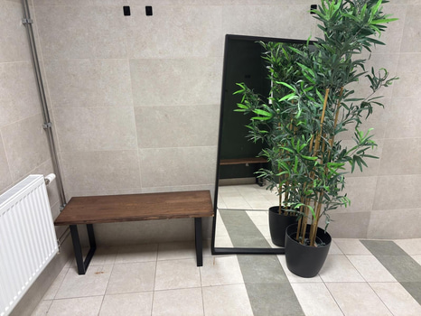 Bänk inkl. plastväxt och spegel