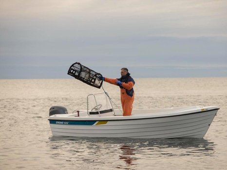 Cremo 550SC 2024 Fabriksny