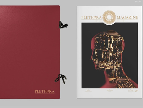 PLETHORA Magazine, Issue No. 7 - mapp med flera bilder