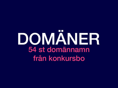 54 st Domännamn från konkursbo- Etablerad domänportfölj från svensk vårdgrupp