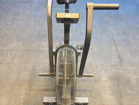 Echo Bike, Rogue