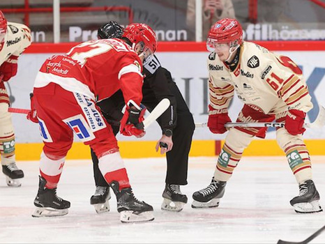 #61 Elias Vilen - Borta