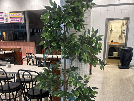 Plastväxt inkl. korg